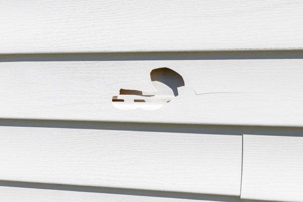 Best Hoarding Cleanup  in Auburn, KY