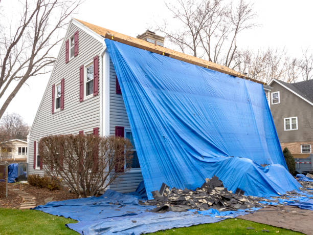 Best Carpet Removal and Disposal  in Auburn, KY